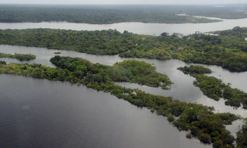 Bahia reduz desmatamento da mata atlântica em 43% em 2023